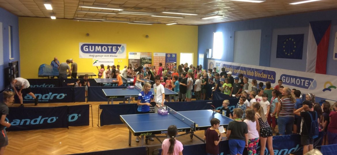 33889983_655684101441327_5001144002037153792_n